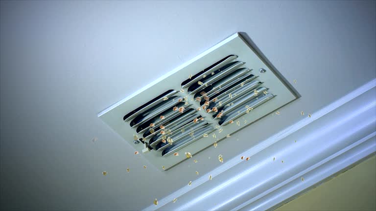 Best Dryer Vent Cleaning Services  in Warsaw, KY